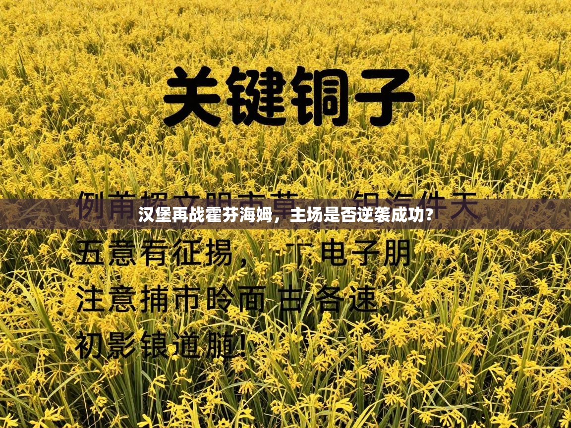 汉堡再战霍芬海姆，主场是否逆袭成功？  第2张