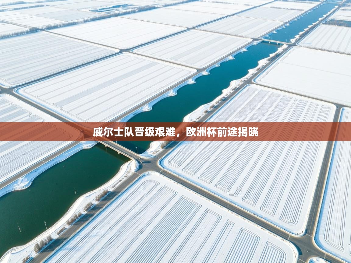 威尔士队晋级艰难，欧洲杯前途揭晓  第1张