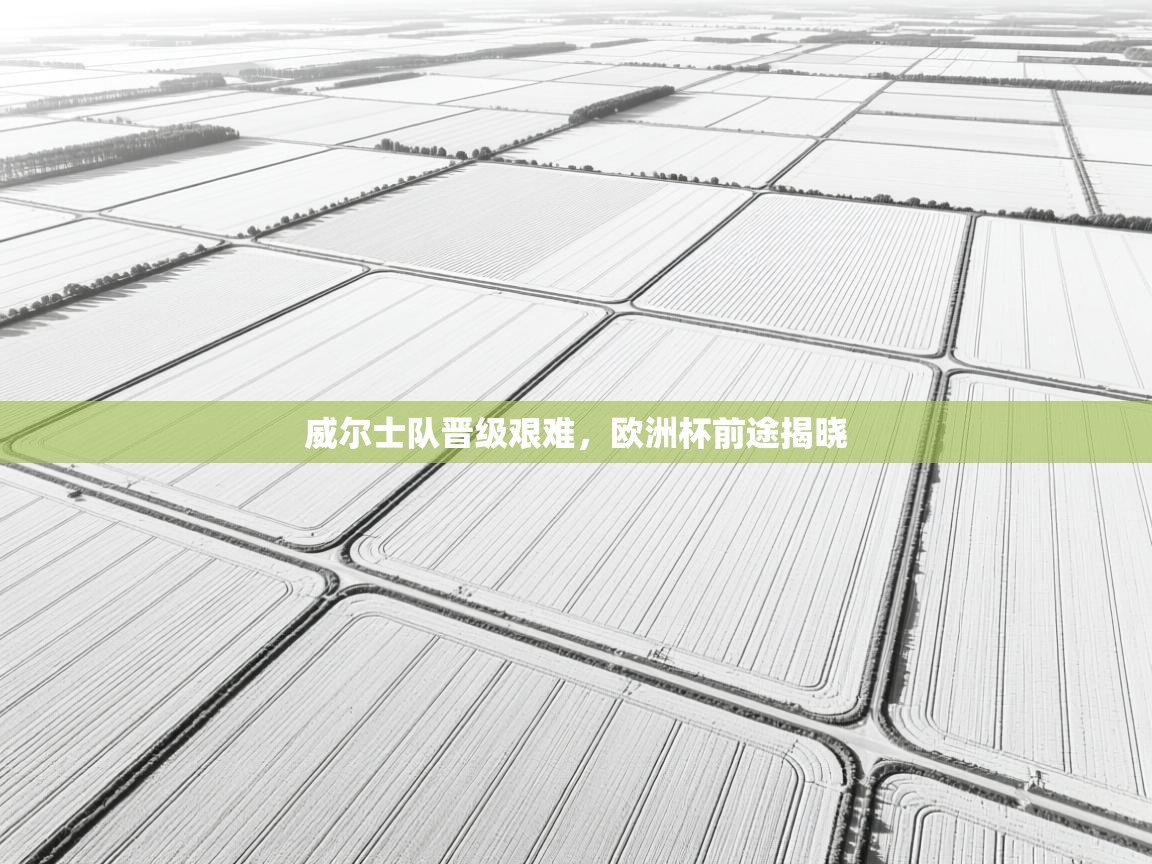 威尔士队晋级艰难，欧洲杯前途揭晓  第2张